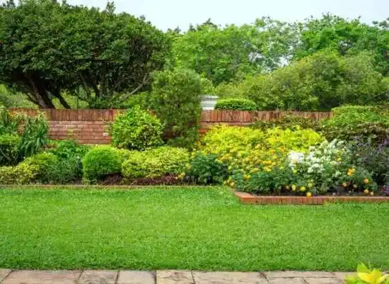 landscaping services La Hacienda